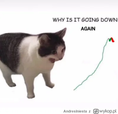 AndresIniesta - Nastroje na tagu #zloto widzę "stabilne" ( ͡° ͜ʖ ͡°)

SPOILER

#inwes...