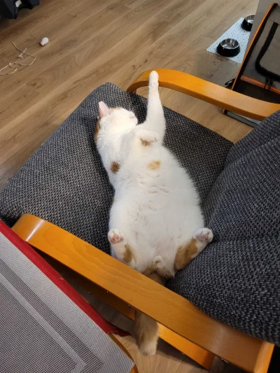 RicoElectrico - @Owlosiaty-Dzik: