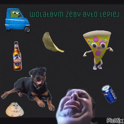 koneserprogresywnegodiscopolo