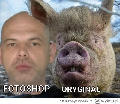 1KiszonyOgorek - #raportzpanstwasrodka 
Bezinteresowny dobroczyńca