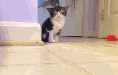 Multipurpose_Labels - #dobranoc to był dobry dzień