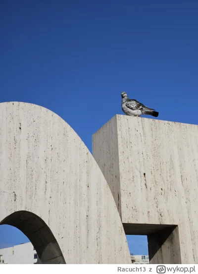 Racuch13 - Z każdego wyjazdu muszę przywieźć zdjęcie lotnego szczura
 
Tutaj Maltańsk...