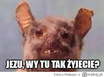 Enrico-Pallazzo - @Rad-X: reptylian kiedy ogarnie polskie mieszkania