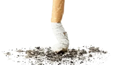 Argonzz - @EditorTM: @yahoomlody 

XD