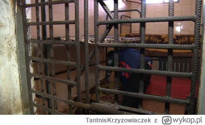TantnisKrzyzowiaczek - romanian cage is nearby moldovan prison

#famemma