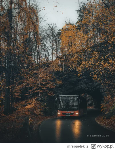 mrsopelek - Ostatnio był wąwóz przez który prowadzi linia kolejowa. Dzisiaj skała prz...