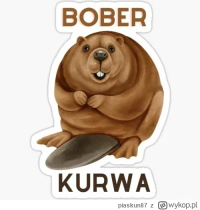 piaskun87 - @ChlopoRobotnik2137: