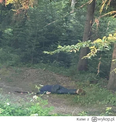 Kalwi - Pomyśleć że policja pewnie nie raz tamtędy przejeżdżała i myśleli że to jakiś...