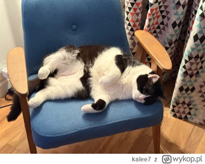 kalee7 - @pepepanpatryk z jednej fabryki