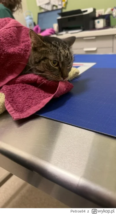 Petros04 - Hej. Jakby ktoś chciał spełnić dobry uczynek, to można udostępnić, albo sy...