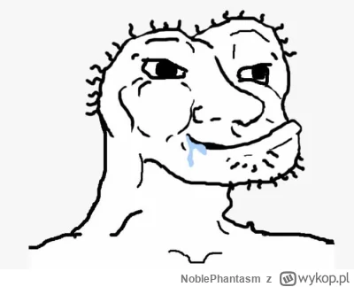 NoblePhantasm - @mojwykopowylogin: