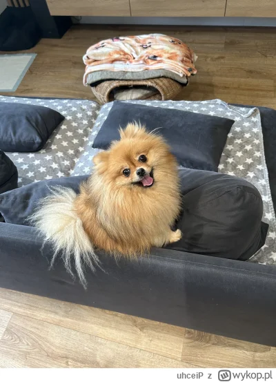 uhceiP - @opinel to mój i potwierdzam zgodność opisu w 100%