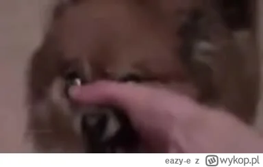 eazy-e - #byloaledobre #heheszki klasyg jak 95