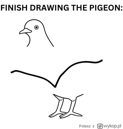 Polasz - @Sztu3ka (✌ ﾟ ∀ ﾟ)☞