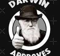 guslarzzgor - Podobnie jak z jedzenie jedzenia z ulicznych budek w Indiach