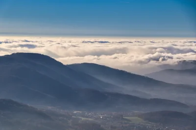 pejotlsd - @pejotlsd: