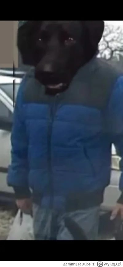 ZamknijTaDupe - #kononowicz https://streamable.com/vuiqk7