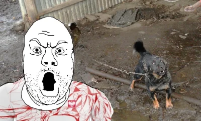 gr0m1t - Kurrrrr... przeszkadza mieszczuchom co ja z psem własnym robie! Jemu tak dob...