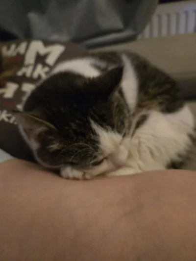 Solsith - @vvn81: lubi się przytulać乁(♥ ʖ̯♥)ㄏ