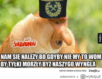 adammich - @worm_nimda: A niby ty czego nie rozumiesz ze Ślońskiego języka ??? Rządzą...