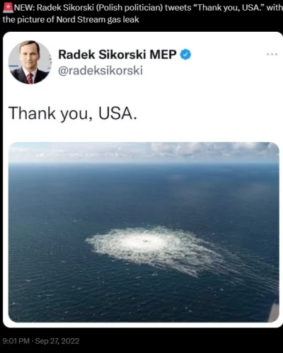 podlogajestpodstawa - "Thank You, USA". Radosław Sikorski 2022