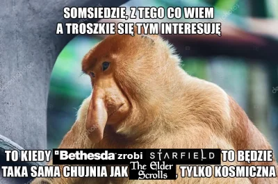 niedorzecznybubr - #starfield #bethesda #elderscrolls #heheszki #skyrim #gry #pcmaste...
