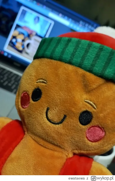 ewataewa - @Fotos324: ciastek pozdrawia kuzynostwo z fotki (｡◕‿‿◕｡)