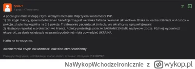 NaWykopWchodzeIronicznie - @Eremites: Mówiłeś coś?