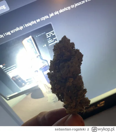 sebastian-rogalski - Chuop typu kolchoznik, pali smieszne papieroski i tag scrolluje ...