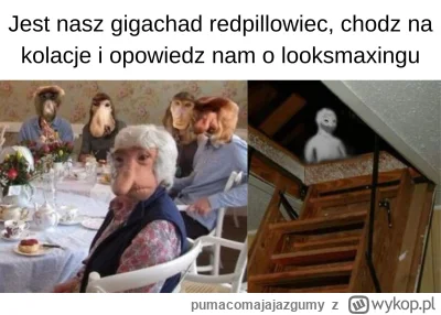 pumacomajajazgumy