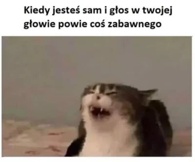 Timer_555 - #przegryw