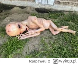 tojapaweu - #famemma