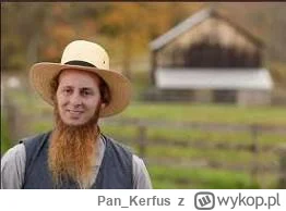Pan_Kerfus - Koalicją Kosiniaka i Amisza
#polityka