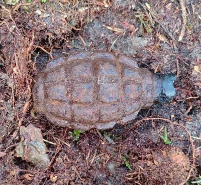 Maksymilian_Gaigerfrost - Ludziom to już odwala. 
ktoś żółwia w lesie zakopał :/

#zw...