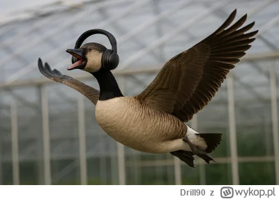 Drill90 - @Malpigaj: