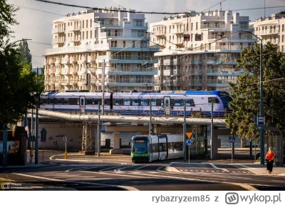 rybazryzem85 - #szczecin