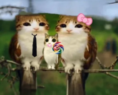 psspspspsp - @dywergent: