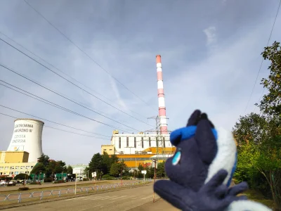 karoryfer - W drodze powrotnej zawnęliśmy też o najwyższy w Polsce komin Elektrowni J...
