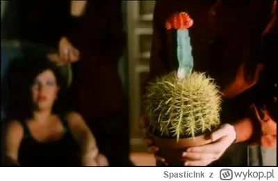 SpasticInk - @BlackpillMonster: a do tego, jako premia ten bezcenny, argentyński kakt...