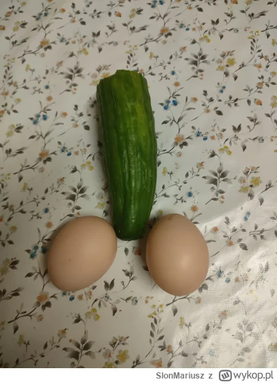 SlonMariusz - Ja mam małe dziś