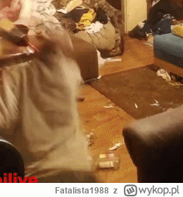 Fatalista1988 - @spreparowany: