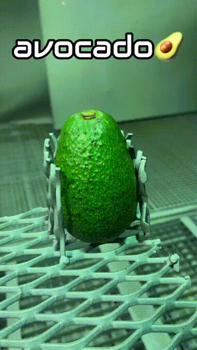 MrGarrison - Piaskowanie avocado 

#ciekawostki #jedzenie #piaskowanie
