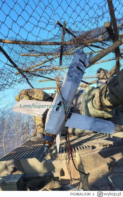 PIGMALION - #ukraina #wojna #rosja

  Rosyjski dron Lancet zaplątany w siatkę maskują...