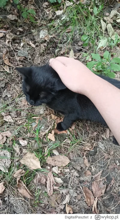 DigitalPasztet - @Kinior obok jest tylko jakieś wysypisko i warsztat