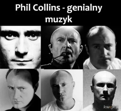 michal-muzyk87 - #testoviron #philcollins Człowiek o renesansu.
