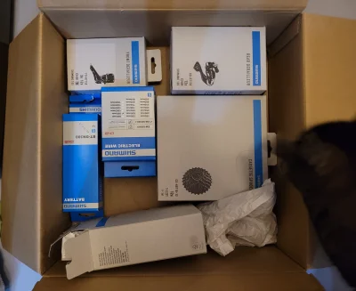 klefonafide - Zakupiłem lego dla pedalarzy 

#rower #szosa