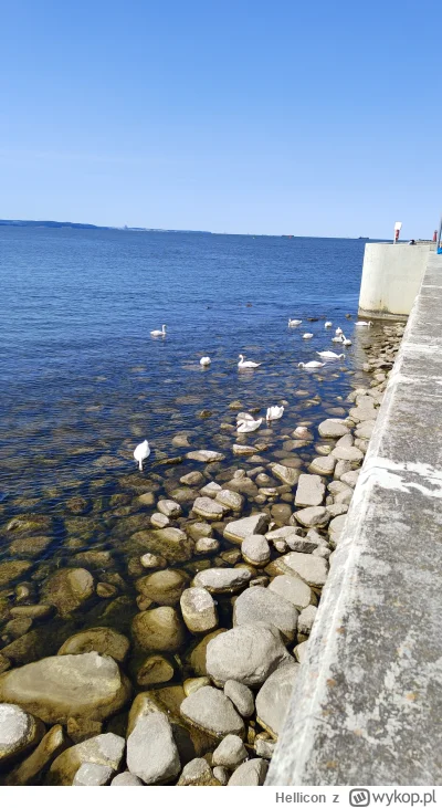 Hellicon - Pacze sobie łabondki

#spierdotrip #samotnosc