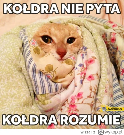 wiszal - @nirvikalpasamadhi: