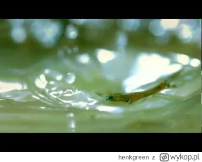 henkgreen - Ale to jest dobre!
# muzyka #muzykaelektroniczna