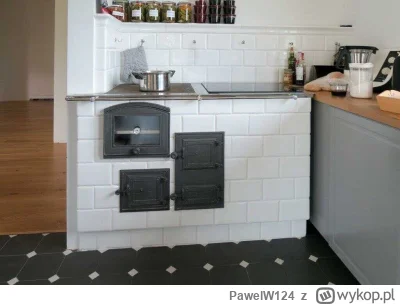 PawelW124 - #przegryw

Myślicie że @Felixu umiałby robić spaghetti na kuchni kaflowej...